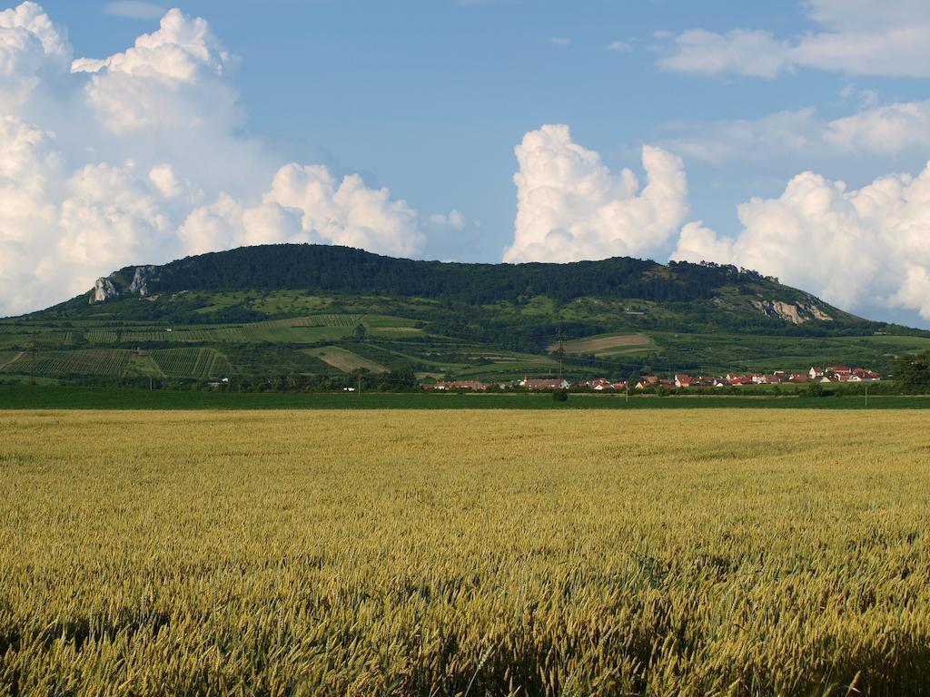 Penzion Kratochvíl Dolní Dunajovice Exterior foto