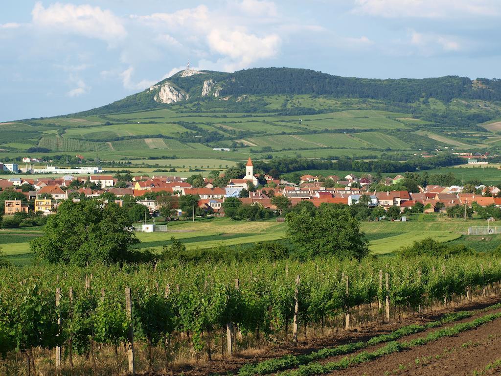 Penzion Kratochvíl Dolní Dunajovice Exterior foto