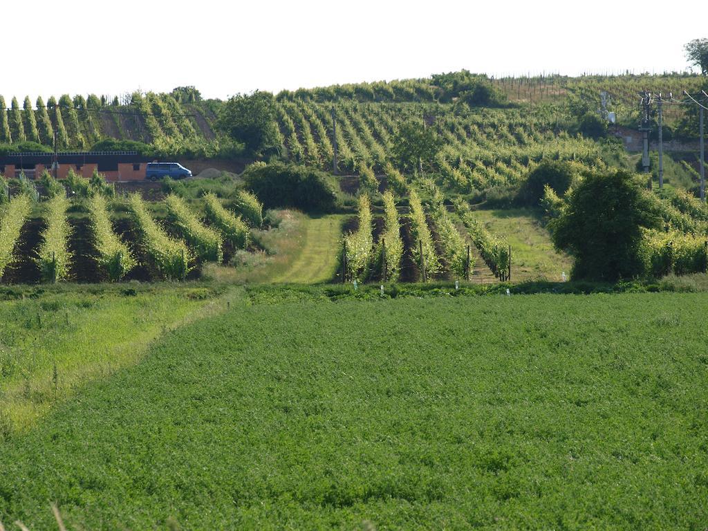 Penzion Kratochvíl Dolní Dunajovice Exterior foto